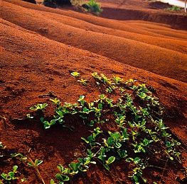 焚天剑魔太强势，theshy告诉你怎么打剑魔